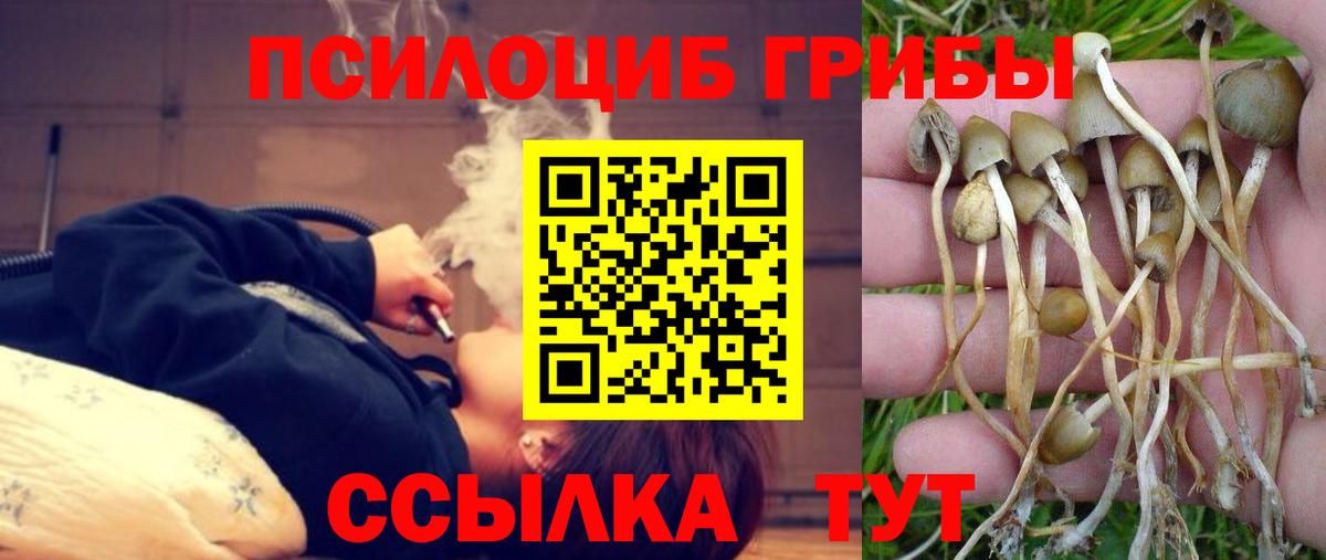 Галлюциногенные грибы мухоморы  Вход с VPN  Галлюциногенные грибы GOLDEN TEACHER  Геленджик 